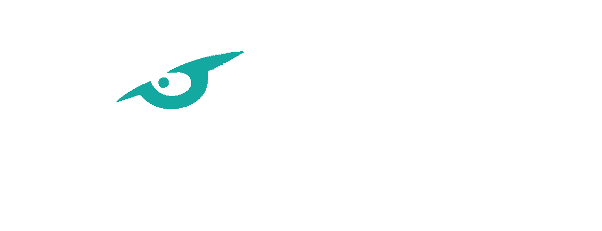 Raptor Medical Systems