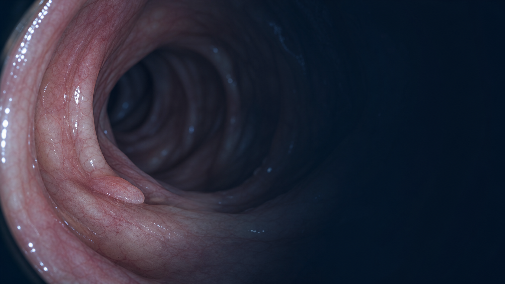 Live colonoscopy view analysed by Asio Scan